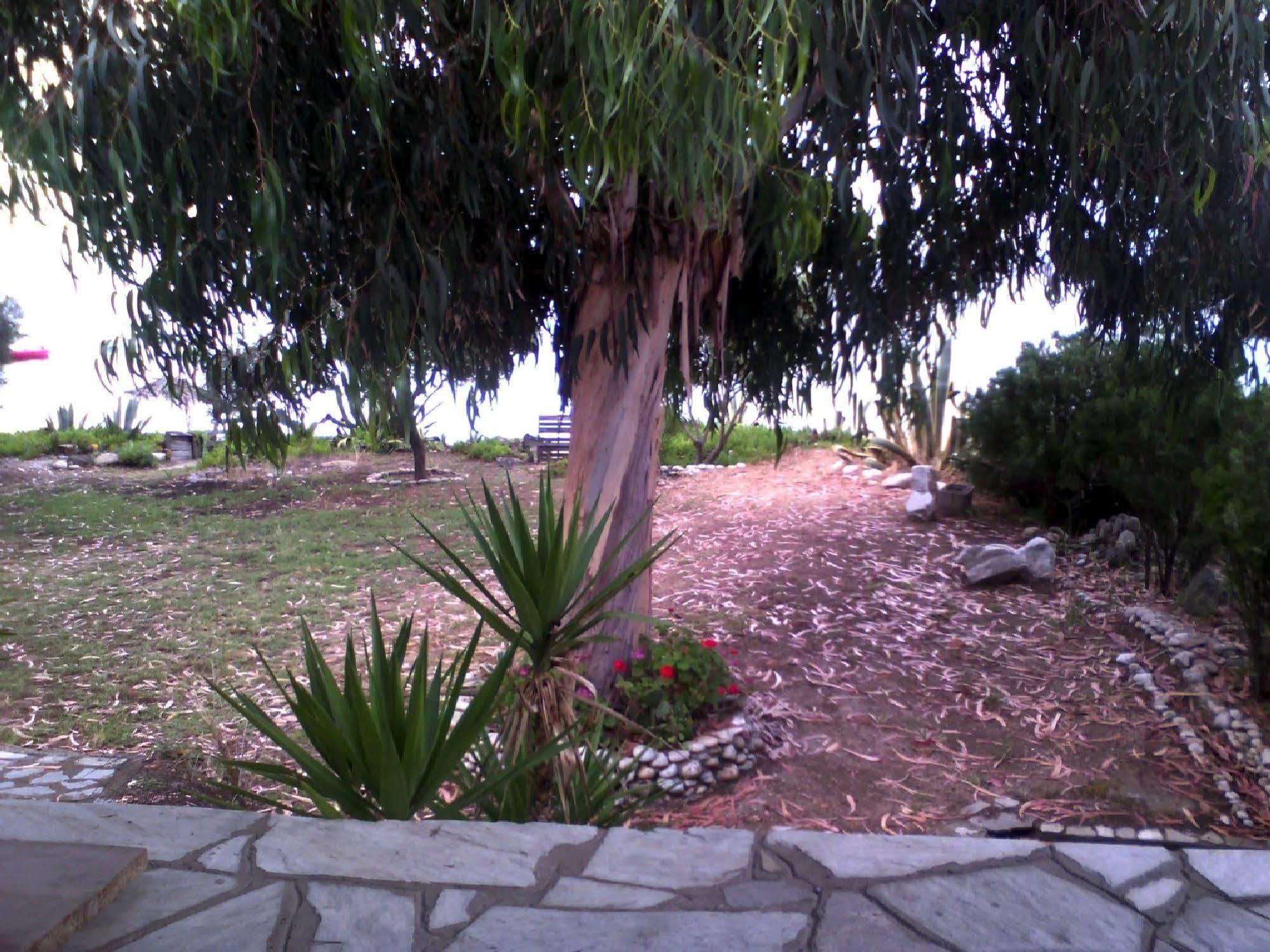 Agrelia House Villa Урануполи Екстериор снимка